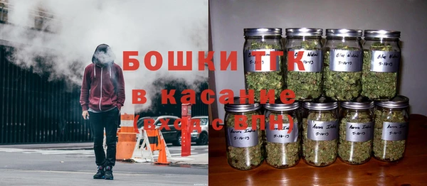 PSILOCYBIN Абаза