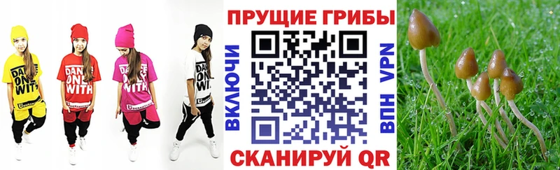 Галлюциногенные грибы Magic Shrooms  Починок 